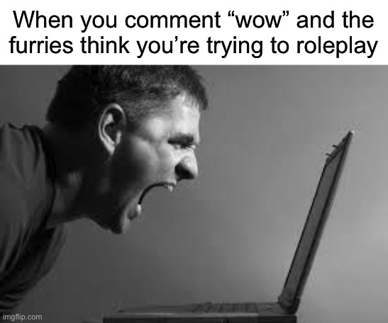 AAa | When you comment “wow” and the furries think you’re trying to roleplay | image tagged in frustration | made w/ Imgflip meme maker