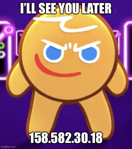 Short Gingerbread | I’LL SEE YOU LATER; 158.582.30.18 | image tagged in short gingerbread,cookie,meme,shitpost,gay | made w/ Imgflip meme maker