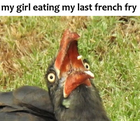 my girl eating my last french fry | image tagged in chippies | made w/ Imgflip meme maker