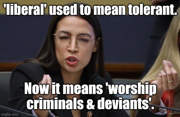 aoc Spicy Meatball | 'liberal' used to mean tolerant. Now it means 'worship criminals & deviants'. | image tagged in aoc spicy meatball | made w/ Imgflip meme maker