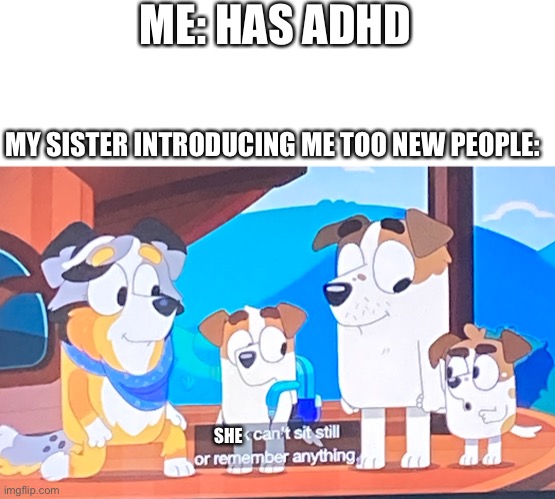 I dont know what to put here. | ME: HAS ADHD; MY SISTER INTRODUCING ME TOO NEW PEOPLE:; SHE | image tagged in adhd,bluey | made w/ Imgflip meme maker