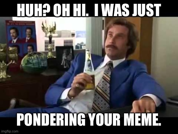 Well That Escalated Quickly Meme | HUH? OH HI.  I WAS JUST PONDERING YOUR MEME. | image tagged in memes,well that escalated quickly | made w/ Imgflip meme maker
