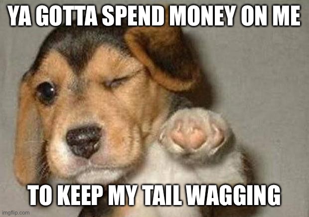 Winking Dog | YA GOTTA SPEND MONEY ON ME TO KEEP MY TAIL WAGGING | image tagged in winking dog | made w/ Imgflip meme maker