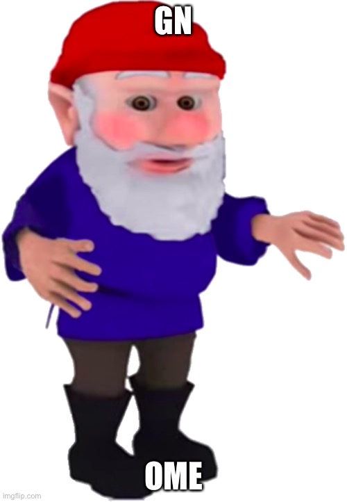 Gnome | GN; OME | image tagged in gnome | made w/ Imgflip meme maker