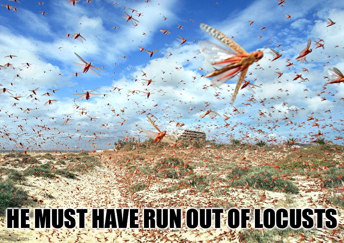 HE MUST HAVE RUN OUT OF LOCUSTS | made w/ Imgflip meme maker