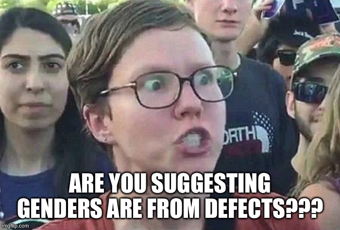 Triggered Liberal | ARE YOU SUGGESTING GENDERS ARE FROM DEFECTS??? | image tagged in triggered liberal | made w/ Imgflip meme maker