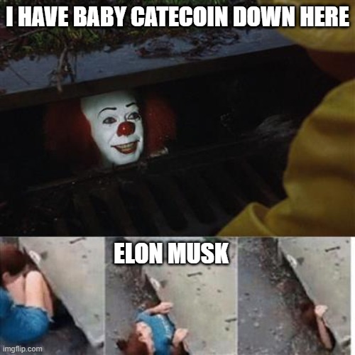 BABY CATECOIN | I HAVE BABY CATECOIN DOWN HERE; ELON MUSK | image tagged in pennywise in sewer,elon musk | made w/ Imgflip meme maker