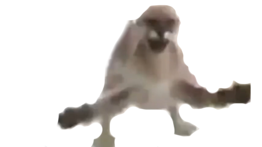 Transparent Floppa Blank Meme Template