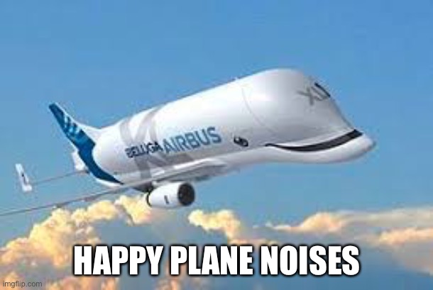 Airbus Beluga | HAPPY PLANE NOISES | image tagged in beluga,plane,airplane | made w/ Imgflip meme maker