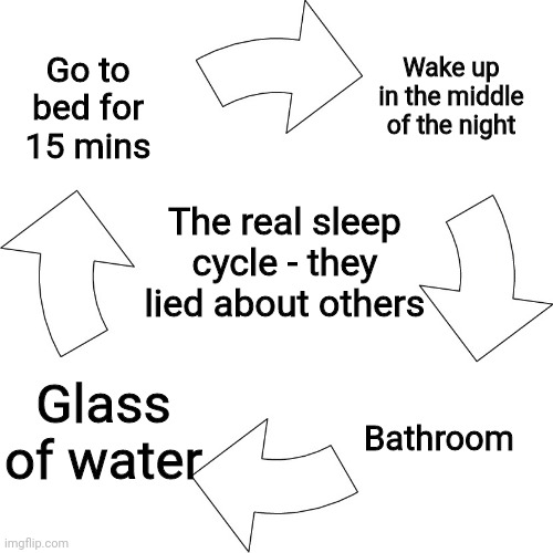 The strat to avoid this is 8 hour naps | Go to bed for 15 mins; Wake up in the middle of the night; The real sleep cycle - they lied about others; Bathroom; Glass of water | image tagged in vicious cycle | made w/ Imgflip meme maker