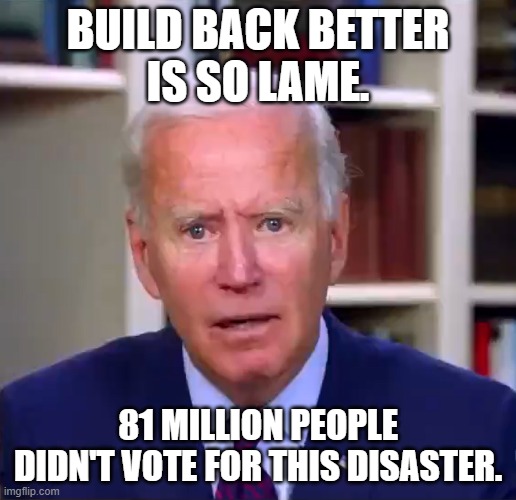 Build Back Better is so lame; 81 million people didn't vote for this disaster. | BUILD BACK BETTER
IS SO LAME. 81 MILLION PEOPLE
DIDN'T VOTE FOR THIS DISASTER. | image tagged in slow joe biden dementia face | made w/ Imgflip meme maker