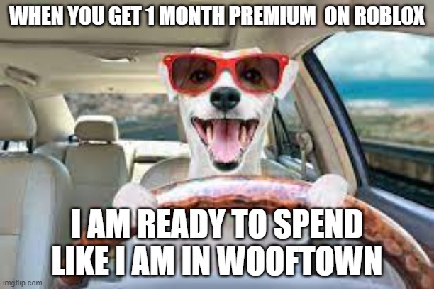 x me to wooftown | WHEN YOU GET 1 MONTH PREMIUM  ON ROBLOX; I AM READY TO SPEND LIKE I AM IN WOOFTOWN | image tagged in new doge | made w/ Imgflip meme maker