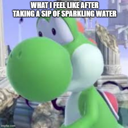 yoshi at taco bell | WHAT I FEEL LIKE AFTER TAKING A SIP OF SPARKLING WATER | image tagged in yoshi at taco bell | made w/ Imgflip meme maker
