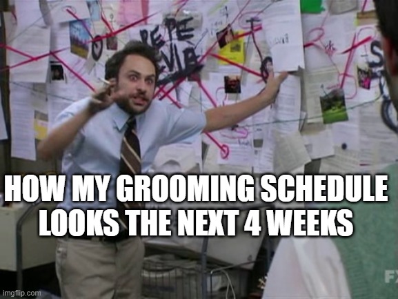 Holiday Crazy | HOW MY GROOMING SCHEDULE LOOKS THE NEXT 4 WEEKS | image tagged in charlie day | made w/ Imgflip meme maker
