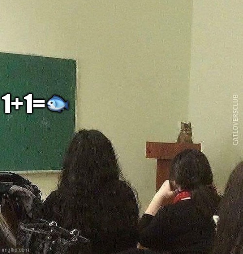 Template saved as "cat professor" | 1+1=🐟 | image tagged in cat professor | made w/ Imgflip meme maker