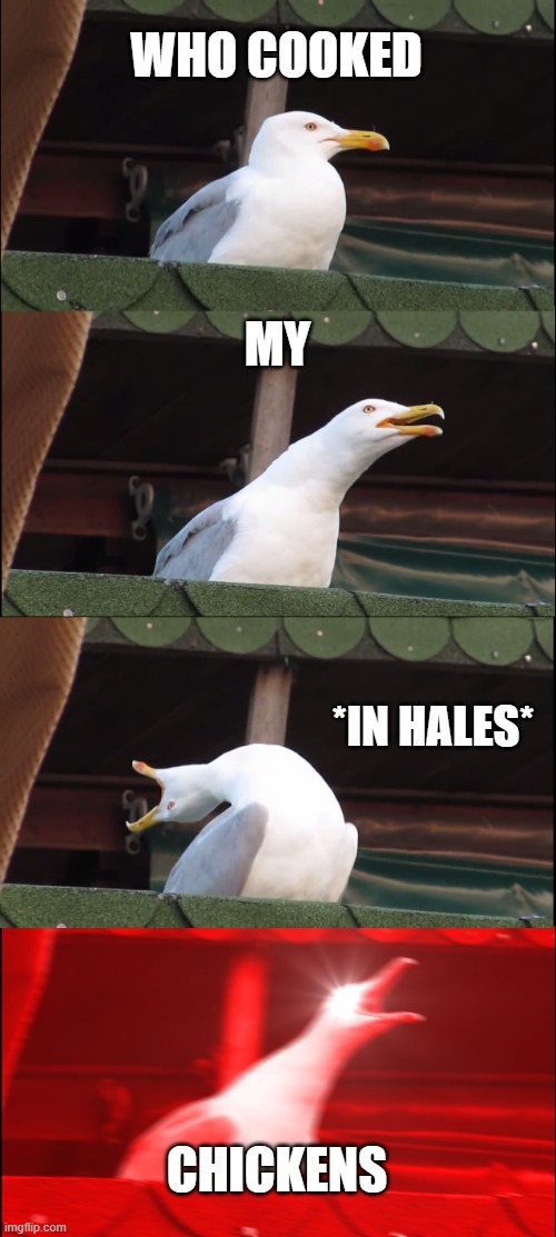 WHO COOKED MY CHICKENS | WHO COOKED; MY; *IN HALES*; CHICKENS | image tagged in memes,inhaling seagull | made w/ Imgflip meme maker