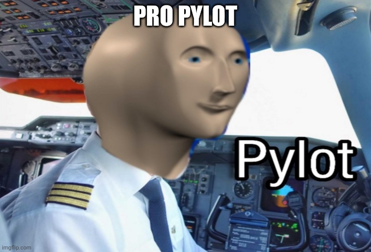 pylot | PRO PYLOT | image tagged in pylot | made w/ Imgflip meme maker