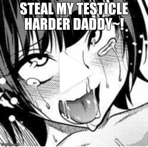 Ahego |  STEAL MY TESTICLE HARDER DADDY~! | image tagged in ahego | made w/ Imgflip meme maker