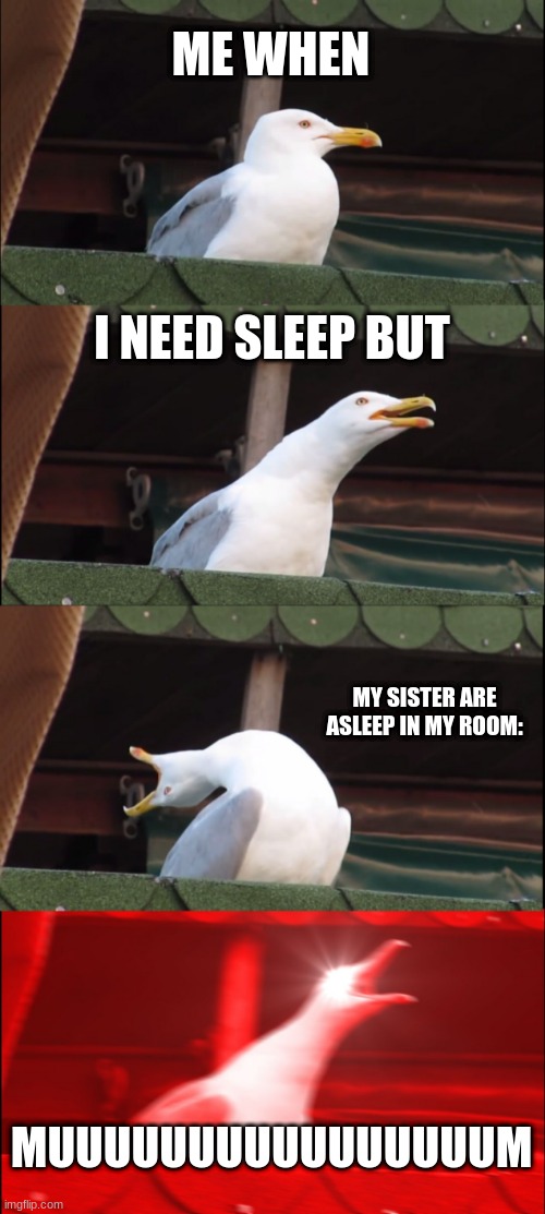 its true | ME WHEN; I NEED SLEEP BUT; MY SISTER ARE ASLEEP IN MY ROOM:; MUUUUUUUUUUUUUUUUM | image tagged in memes,inhaling seagull | made w/ Imgflip meme maker
