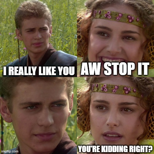 When I tell my crush I like them | I REALLY LIKE YOU; AW STOP IT; YOU'RE KIDDING RIGHT? | image tagged in anakin padme 4 panel | made w/ Imgflip meme maker