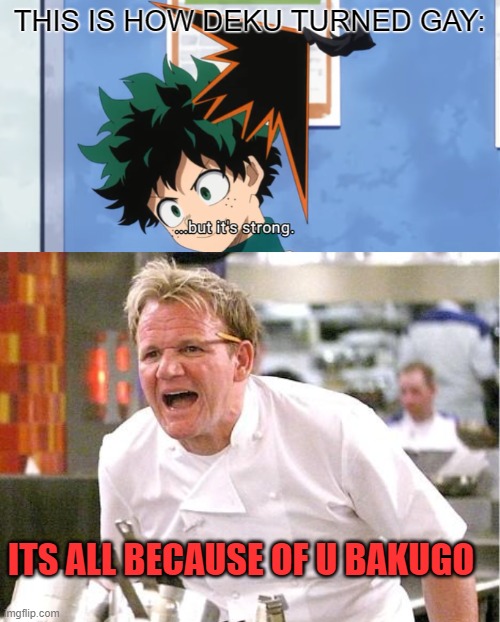 brain cells got damaged which determine:::::::::::::::::::::: | THIS IS HOW DEKU TURNED GAY:; ITS ALL BECAUSE OF U BAKUGO | image tagged in memes,chef gordon ramsay | made w/ Imgflip meme maker