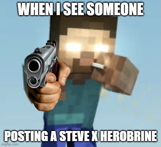 CAN U DONT SHIP STEVE AND ME?! | WHEN I SEE SOMEONE; POSTING A STEVE X HEROBRINE | image tagged in minecraft pack | made w/ Imgflip meme maker