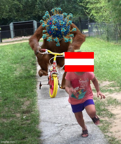 :( | image tagged in orangutan chasing girl on a tricycle,coronavirus,covid-19,austria,memes,funny not funny | made w/ Imgflip meme maker