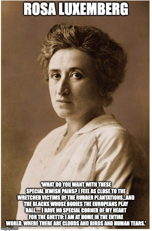 ROSA LUXEMBERG; 'WHAT DO YOU WANT WITH THESE SPECIAL JEWISH PAINS? I FEEL AS CLOSE TO THE WRETCHED VICTIMS OF THE RUBBER PLANTATIONS...AND THE BLACKS WHOSE BODIES THE EUROPEANS PLAY BALL..... I HAVE NO SPECIAL CORNER OF MY HEART FOR THE GHETTO: I AM AT HOME IN THE ENTIRE WORLD, WHERE THERE ARE CLOUDS AND BIRDS AND HUMAN TEARS.' | made w/ Imgflip meme maker