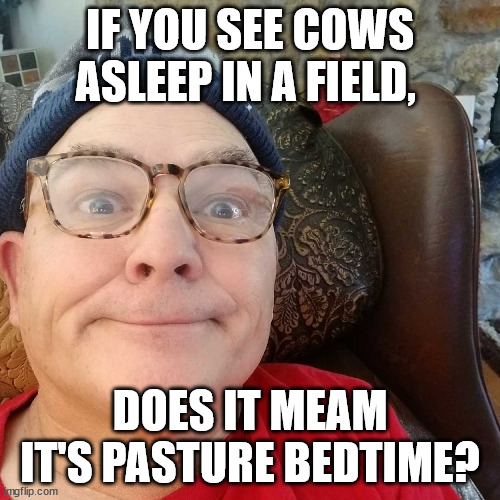 Durl Earl | IF YOU SEE COWS ASLEEP IN A FIELD, DOES IT MEAM IT'S PASTURE BEDTIME? | image tagged in durl earl | made w/ Imgflip meme maker