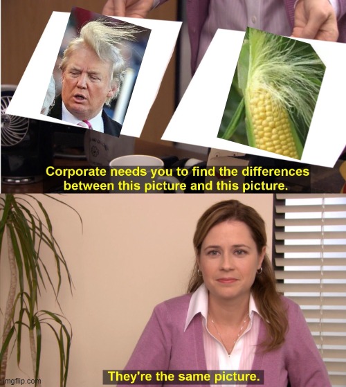 I can't see a difference | image tagged in memes,they're the same picture,donald trump,donald trump hair,oh wow are you actually reading these tags | made w/ Imgflip meme maker