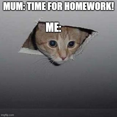 Hiding... | MUM: TIME FOR HOMEWORK! ME: | image tagged in memes,ceiling cat,homework,hiding | made w/ Imgflip meme maker