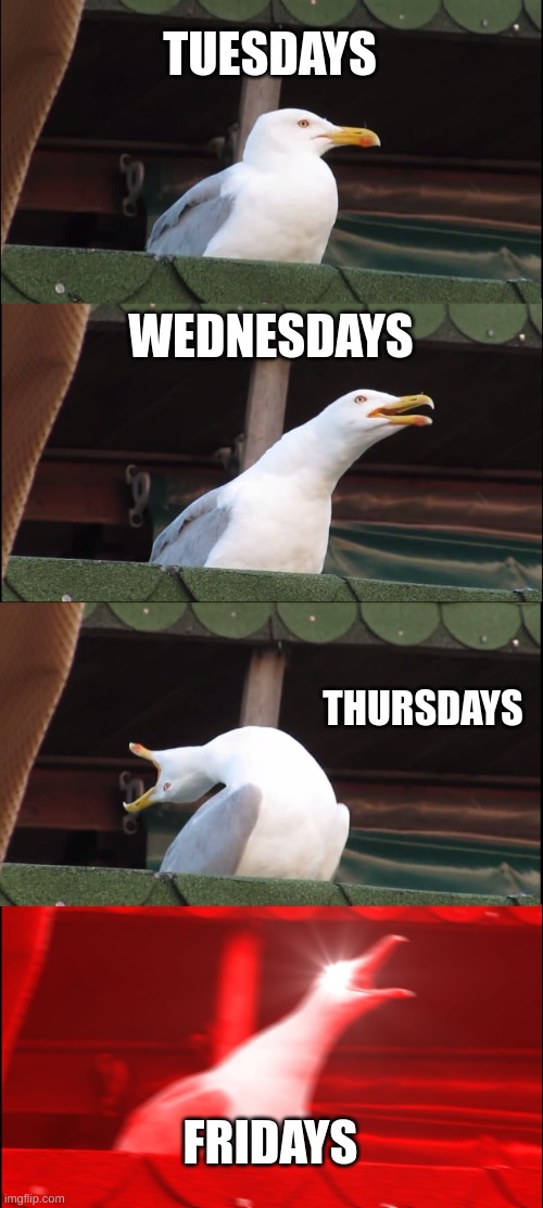 Inhaling Seagull | TUESDAYS; WEDNESDAYS; THURSDAYS; FRIDAYS | image tagged in memes,inhaling seagull | made w/ Imgflip meme maker