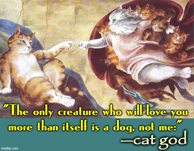 Revelations from above... or possibly below | "The only creature who will love you
more than itself is a dog, not me."; —cat god | image tagged in vince vance,cats,dogs,i love cats,funny cat memes,meow | made w/ Imgflip meme maker