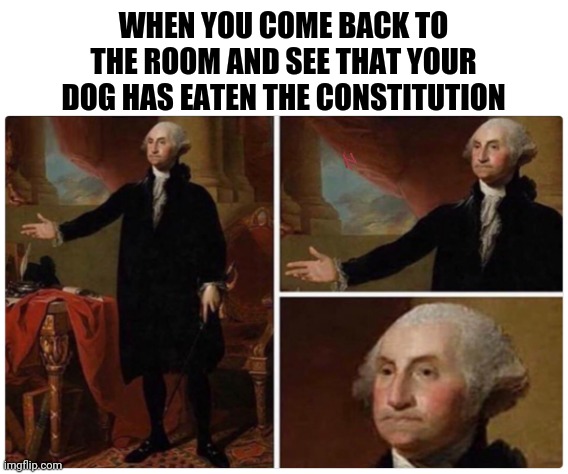 What?! |  WHEN YOU COME BACK TO THE ROOM AND SEE THAT YOUR DOG HAS EATEN THE CONSTITUTION | image tagged in george washington,washington,founding fathers,dog,constitution,memes | made w/ Imgflip meme maker
