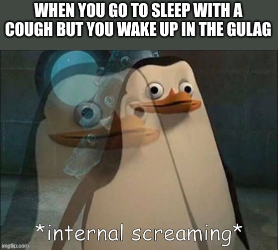 The gulag | WHEN YOU GO TO SLEEP WITH A COUGH BUT YOU WAKE UP IN THE GULAG | image tagged in rico internal screaming | made w/ Imgflip meme maker