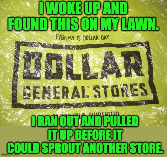 Dollar General | I WOKE UP AND FOUND THIS ON MY LAWN. I RAN OUT AND PULLED IT UP BEFORE IT COULD SPROUT ANOTHER STORE. | image tagged in dollar store | made w/ Imgflip meme maker