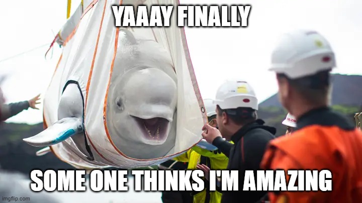 happy beluga | YAAAY FINALLY SOME ONE THINKS I'M AMAZING | image tagged in happy beluga | made w/ Imgflip meme maker