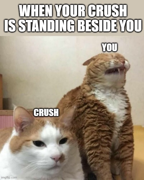 I and My Crush | WHEN YOUR CRUSH IS STANDING BESIDE YOU; YOU; CRUSH | image tagged in i and my crush | made w/ Imgflip meme maker