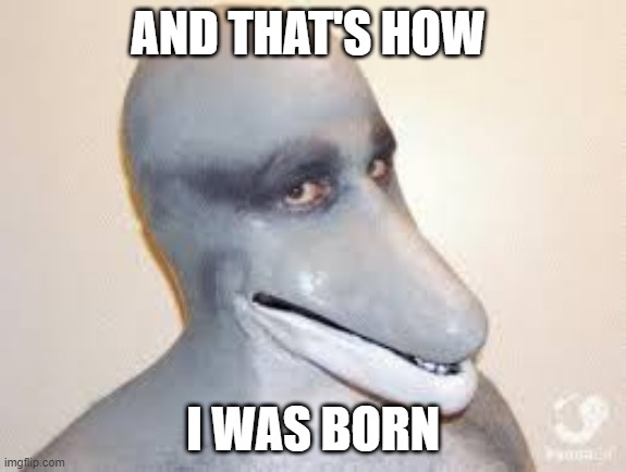Dolphin Guy | AND THAT'S HOW I WAS BORN | image tagged in dolphin guy | made w/ Imgflip meme maker