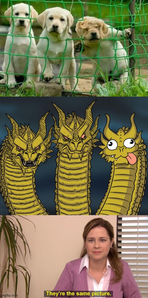 image tagged in three-headed dragon,memes,they're the same picture | made w/ Imgflip meme maker