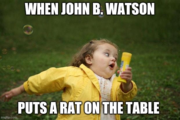 girl running | WHEN JOHN B. WATSON; PUTS A RAT ON THE TABLE | image tagged in girl running | made w/ Imgflip meme maker