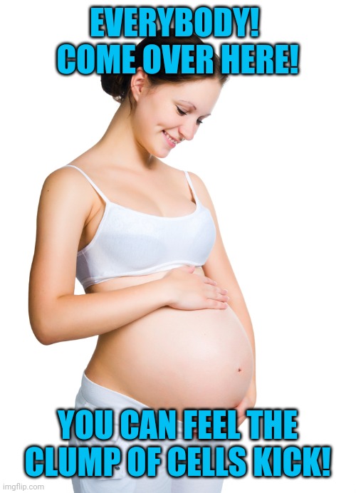 Pregnant woman | EVERYBODY!  COME OVER HERE! YOU CAN FEEL THE CLUMP OF CELLS KICK! | image tagged in pregnant woman | made w/ Imgflip meme maker