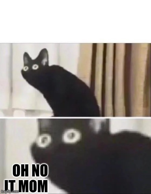 Oh No Black Cat | OH NO IT MOM | image tagged in oh no black cat | made w/ Imgflip meme maker