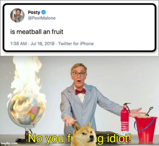 image tagged in no you f cking idiot,fruit | made w/ Imgflip meme maker