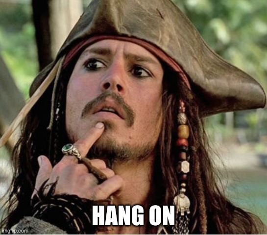 Gives Pause Pirate | HANG ON | image tagged in gives pause pirate | made w/ Imgflip meme maker