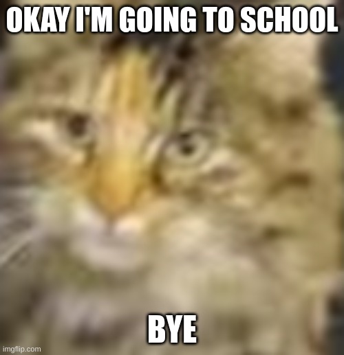 I may be able to go on hyperbeam on monday or tuesday btw :D | OKAY I'M GOING TO SCHOOL; BYE | image tagged in cocoa | made w/ Imgflip meme maker