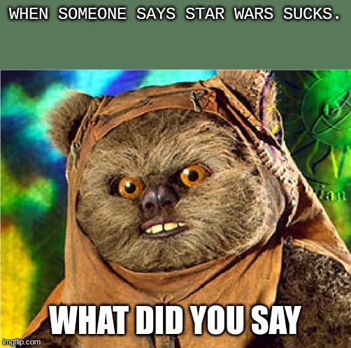 excuse me?!? | WHEN SOMEONE SAYS STAR WARS SUCKS. WHAT DID YOU SAY | image tagged in angry ewok,star wars | made w/ Imgflip meme maker