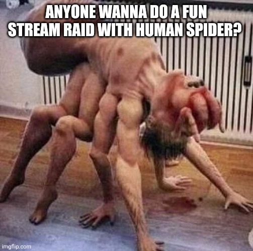 cursed image | ANYONE WANNA DO A FUN STREAM RAID WITH HUMAN SPIDER? | image tagged in cursed image | made w/ Imgflip meme maker
