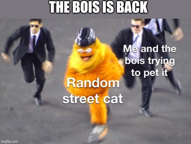 THE BOIS IS BACK | image tagged in grumpy cat,bad luck brian | made w/ Imgflip meme maker