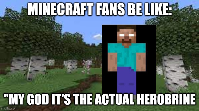 Herobrine.... NOT!! |  MINECRAFT FANS BE LIKE:; "MY GOD IT'S THE ACTUAL HEROBRINE | image tagged in minecraft,herobrine | made w/ Imgflip meme maker